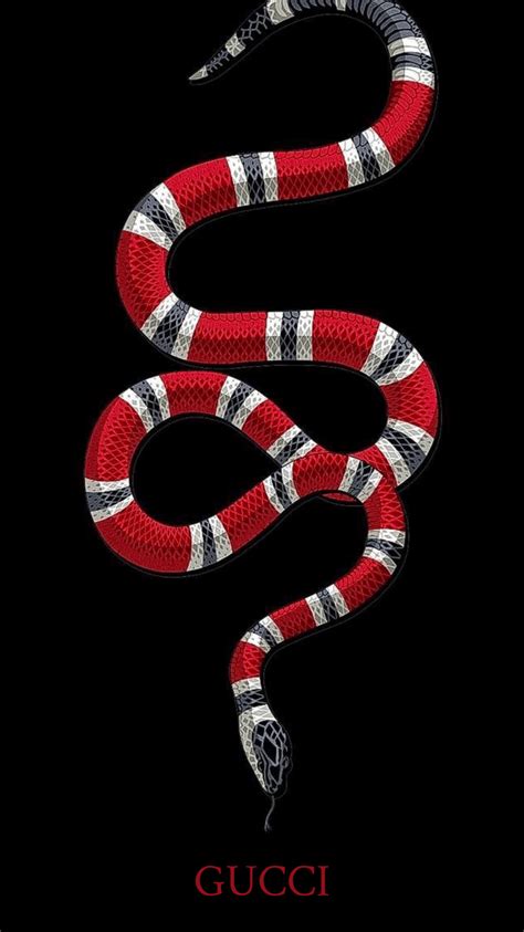 png gucci snake|Gucci snake desktop wallpaper.